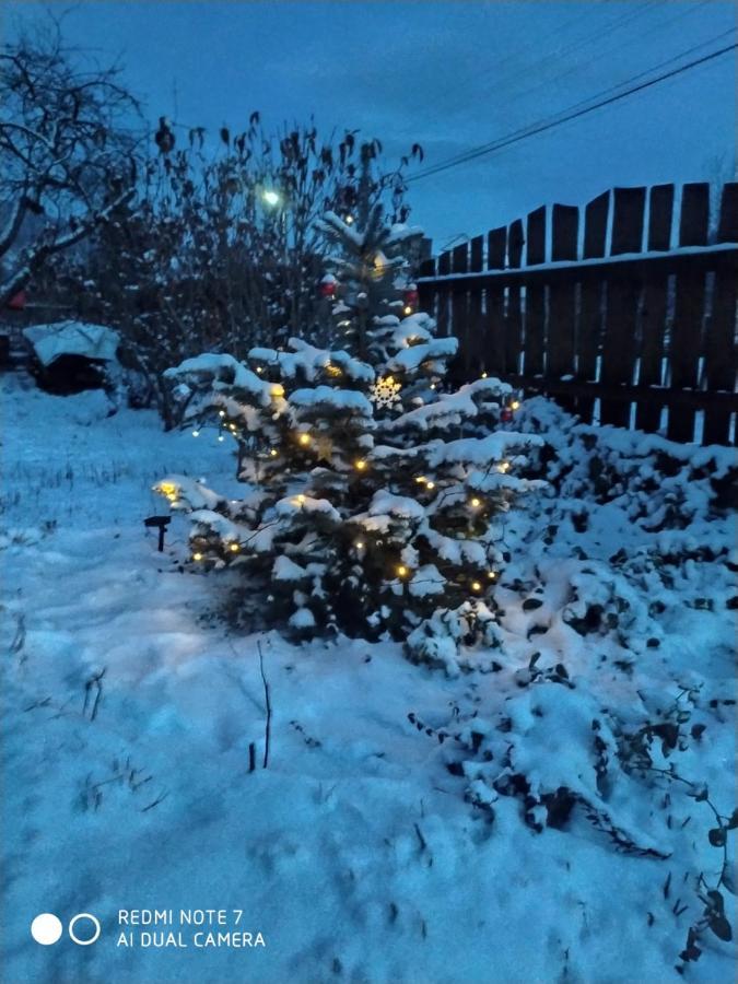 Котедж Кресаня Mykulychyn Extérieur photo