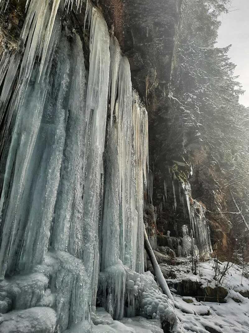 Котедж Кресаня Mykulychyn Extérieur photo