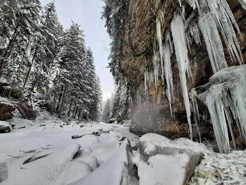 Котедж Кресаня Mykulychyn Extérieur photo